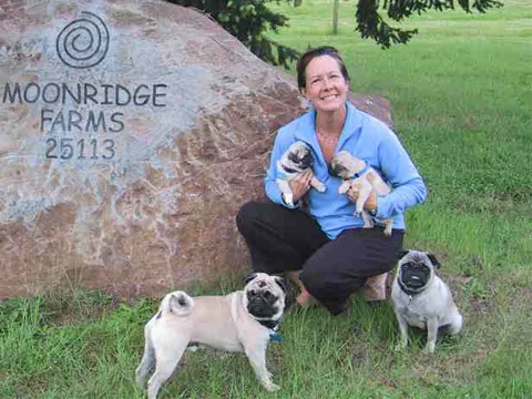 Lauren with Pugs